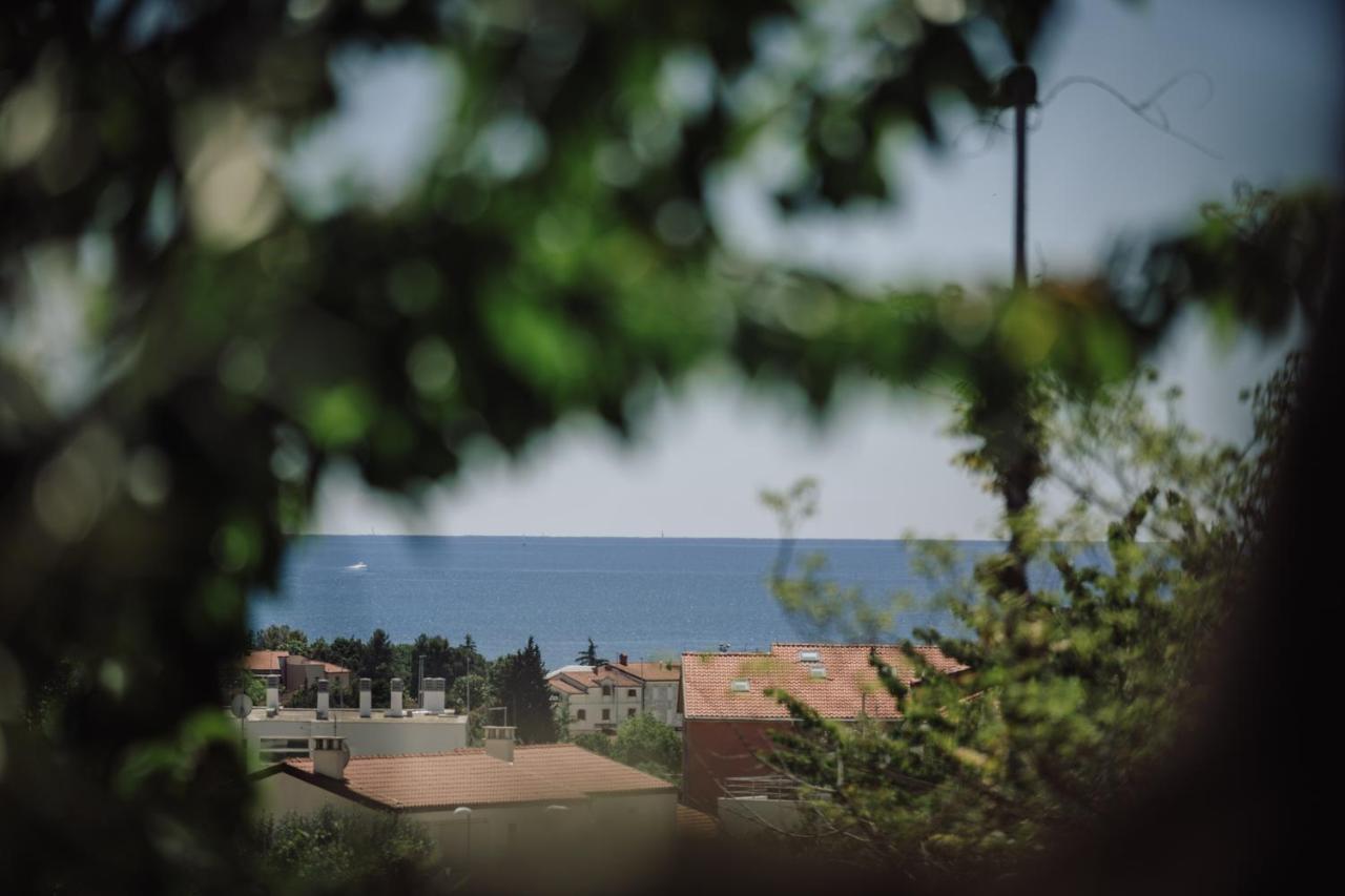Belvedere Holidays Novigrad Istria Eksteriør bilde
